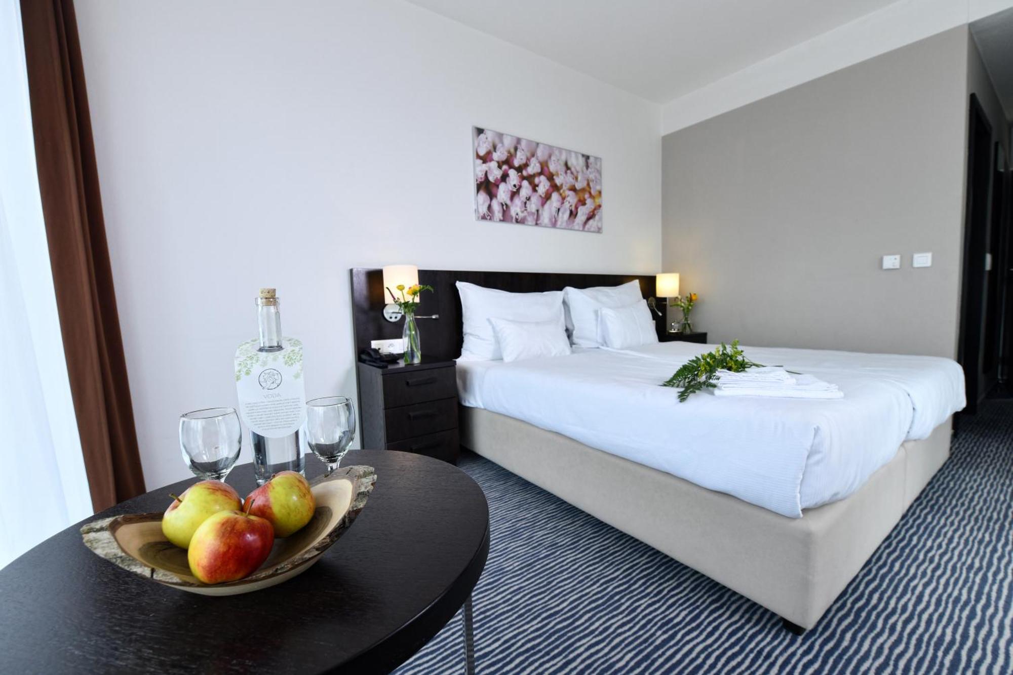 Wellness Hotel Vista Dolni Morava Ngoại thất bức ảnh