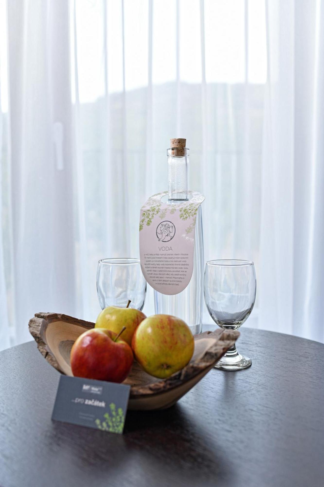 Wellness Hotel Vista Dolni Morava Ngoại thất bức ảnh